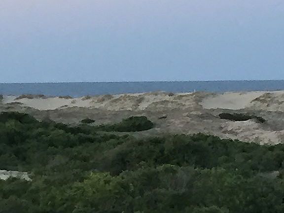 View from rooftop deck