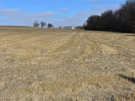 A view from the southern boundary looking north over your property.  Plenty of room for your dogs, horses or other animals to roam.