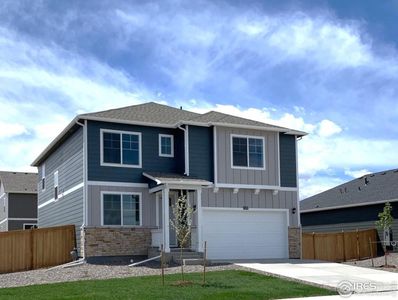 6489 Globeflower St, Wellington, CO, 80549