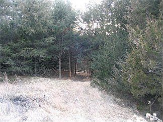 4th image of 88085 433rd Ave