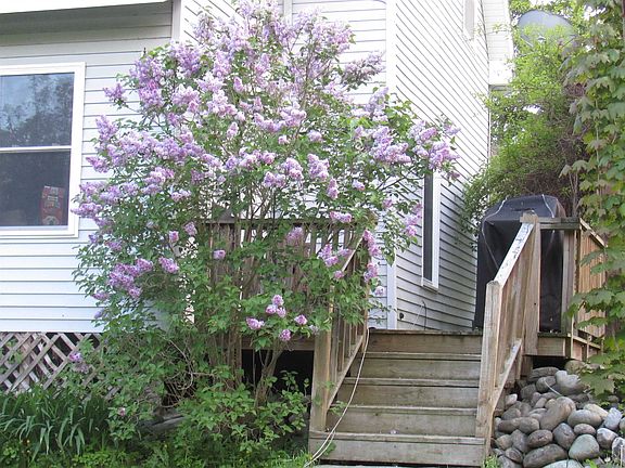 3rd image of 77 Maple Street