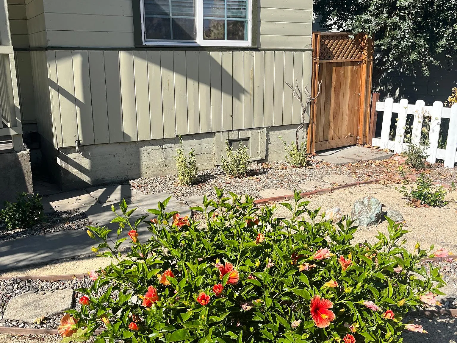 2 bed, 1.5 bath, 750 sqft, $2,450 — Photo 3