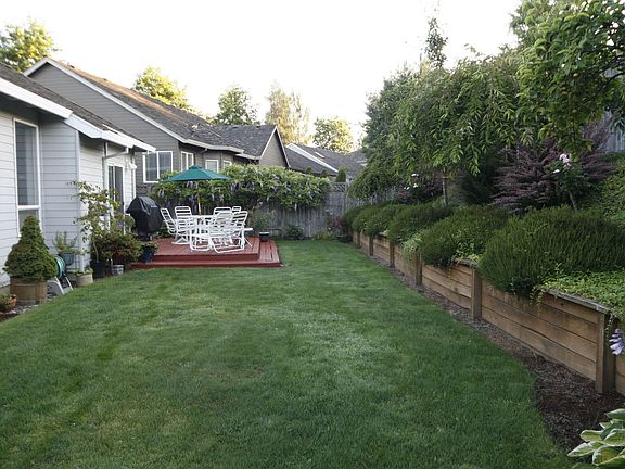 Back yard