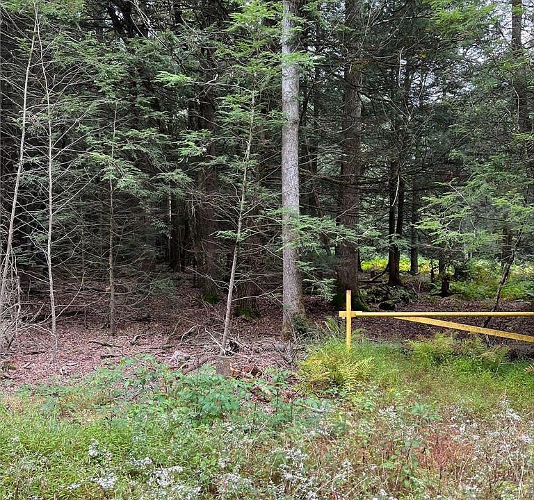 2nd image of Rhododendron Trl #A12