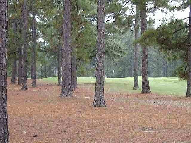 1st image of 32 E Augusta Drive