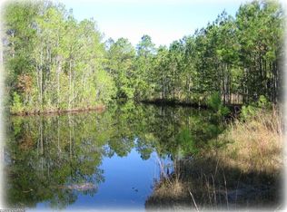 LOT -C Rams Horn Rd, Newport, NC 28570