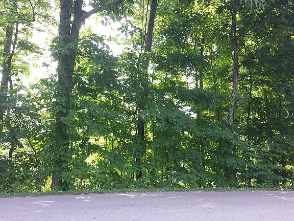 View across Road-Wooded