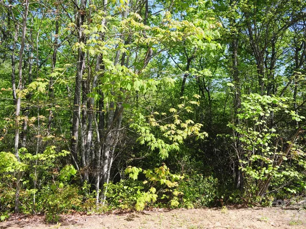 99999 Mountain Falls Trl #71, Black Mountain, NC 28711