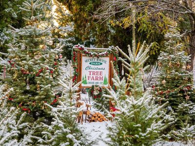 2740 Mace Rd, Camino, CA, 95709