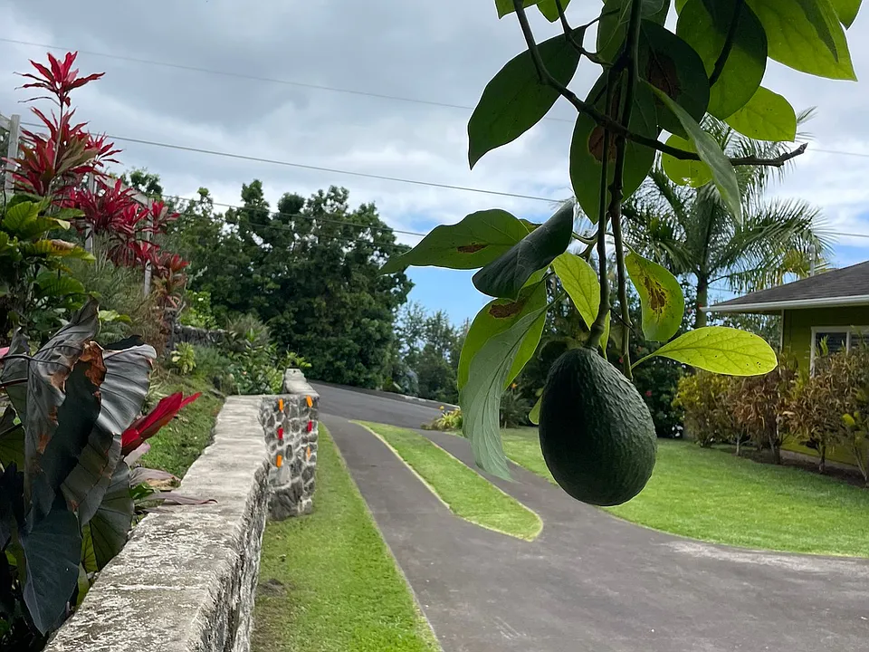 73-1149 Kahuna Ao Rd