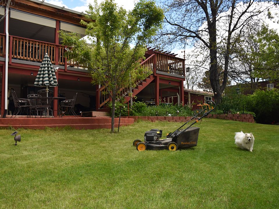 Backyard #Summer