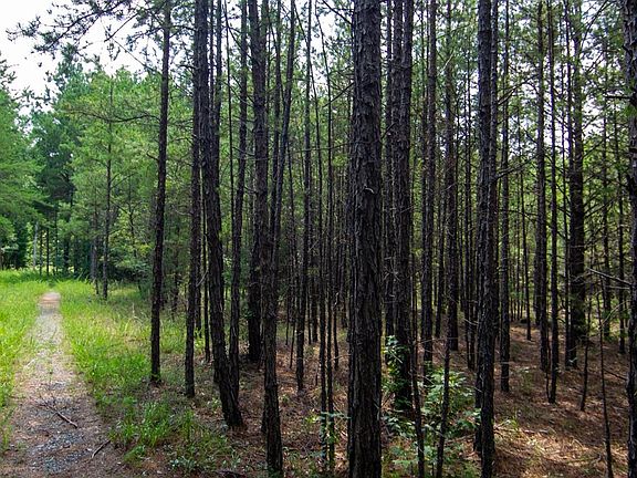 3rd image of 2682 Cold Springs Rd
