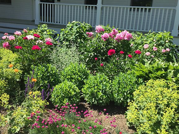 Designed Perennial Gardens