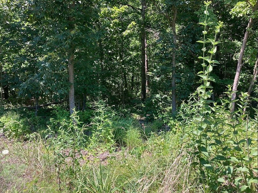 1st image of 11 Islay Dr #11