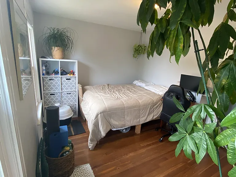 21 Hemlock St — Photo 12