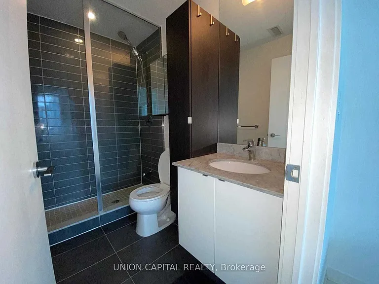 150 E Liberty St #1803 — Photo 13