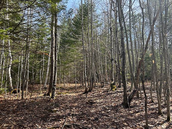 2nd image of Lot 4 Holley Road