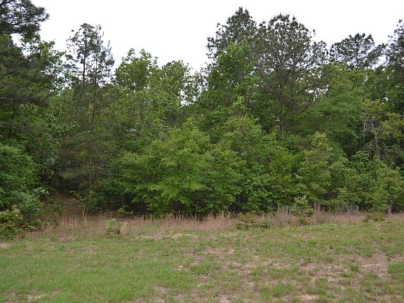 4th image of 0 Old Barnwell Rd