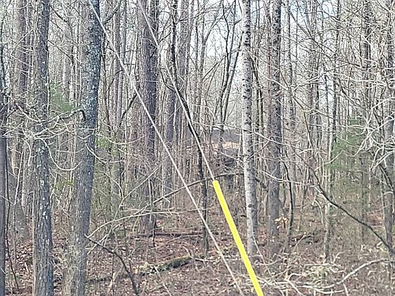 2nd image of 955 Joe Stephens Rd