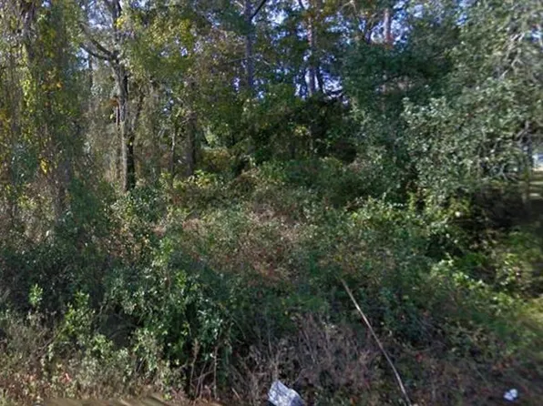 SE 172nd Ave Lot 6, Silver Springs, FL 34488