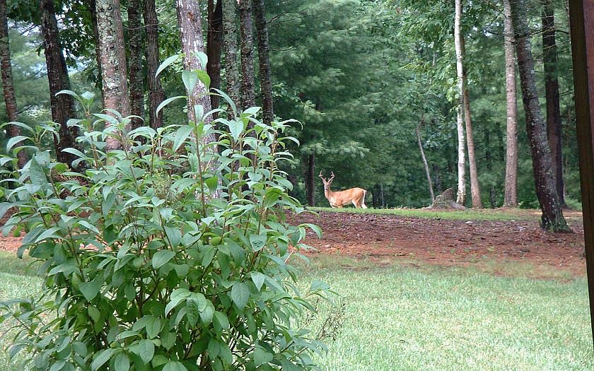 2nd image of Highland Woods Rd