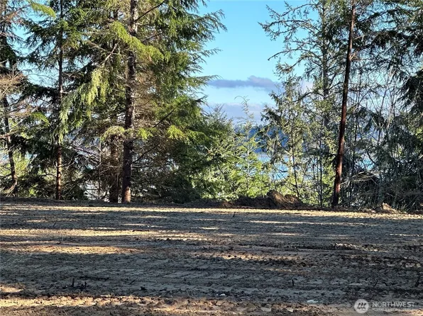 20520 Sandridge Road, Ocean Park, WA 98640