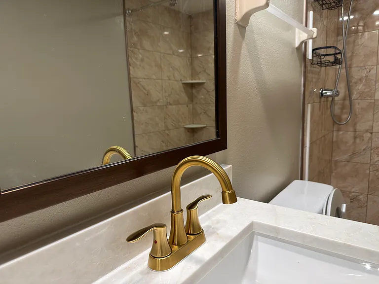 Master Bedroom Faucet