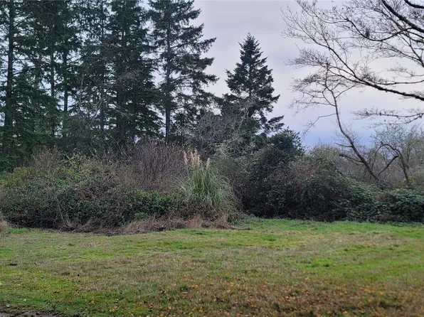 0 Y LN, Ocean Park, WA 98640