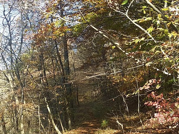 4th image of E State Rd #46