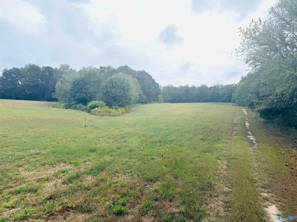 878 Lowery Rd NE, Arab, AL 35016