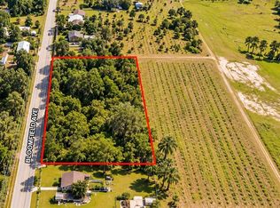 26714 BLOOMFIELD AVENUE, YALAHA, FL 34797
