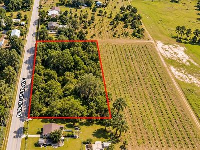 26714 BLOOMFIELD AVENUE, Yalaha, FL, 34797