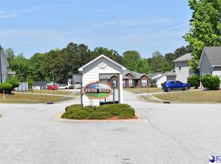 3300 Spiral Ln, Effingham, SC 29541