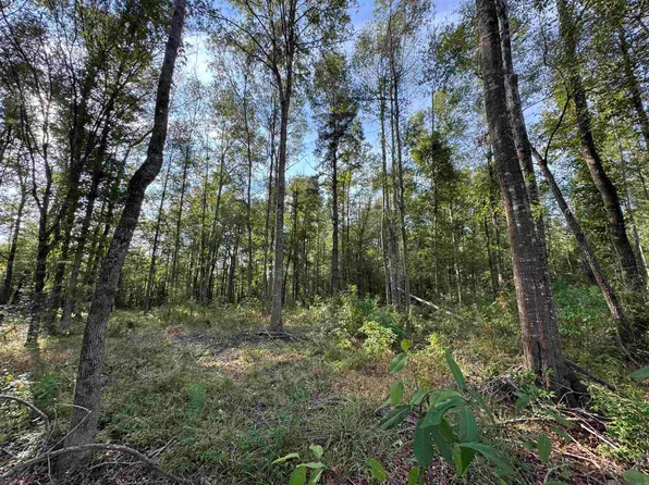 Sf 14 La Hwy #16, Denham Springs, LA 70706