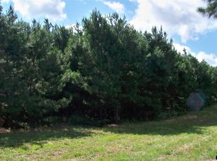 0 County Road 4325, Larue, TX 75770