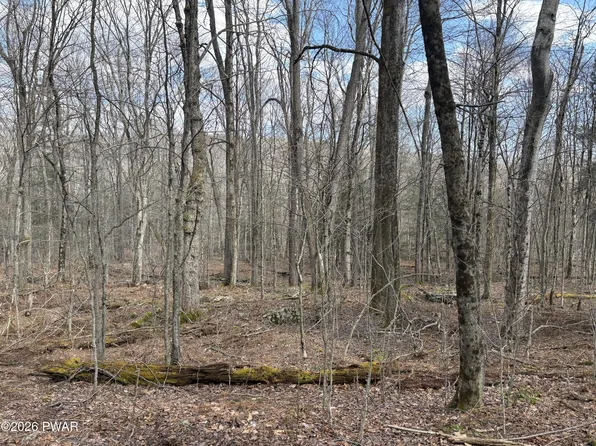 LOT 205 Hemlock Ter S, Greentown, PA 18426