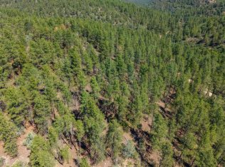 Wapiti Dr #73, Walsenburg, CO 81089