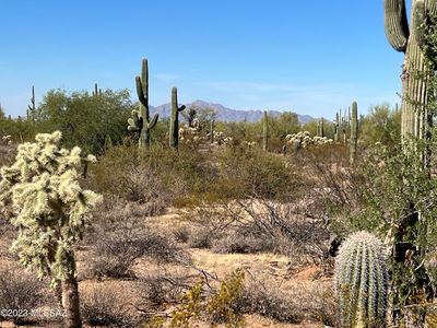 31XXX S Cattle Tank Rd, Marana, AZ, 85658