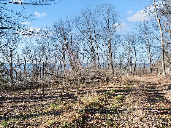 5th image of 2085/1935 Big Fork Rd