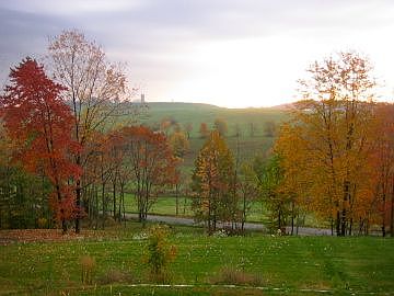 View from Kitchen