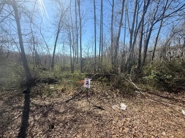 2 Highway 22a, Jacks Creek, TN 38347