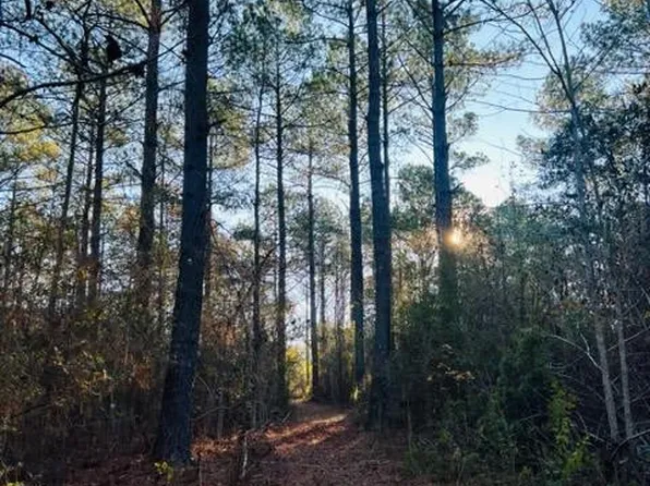 Morgantown Rd, Stringer, MS 39481