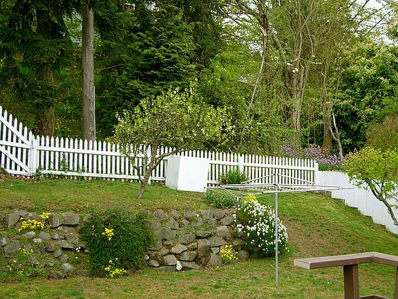 Large back yard
