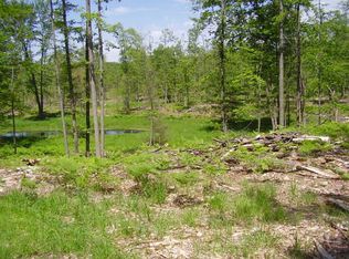 McCollum Lake Rd, Curran, MI 48728