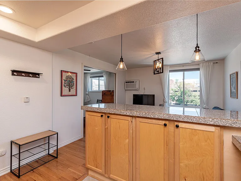 1833 N Williams St #504 — Photo 8