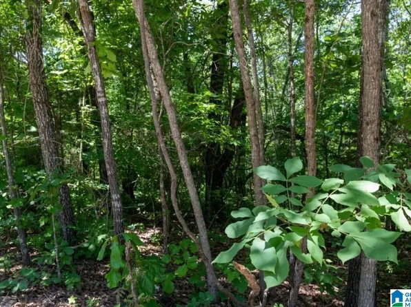 0 Fruit Jar Rd #0, Oakman, AL 35579