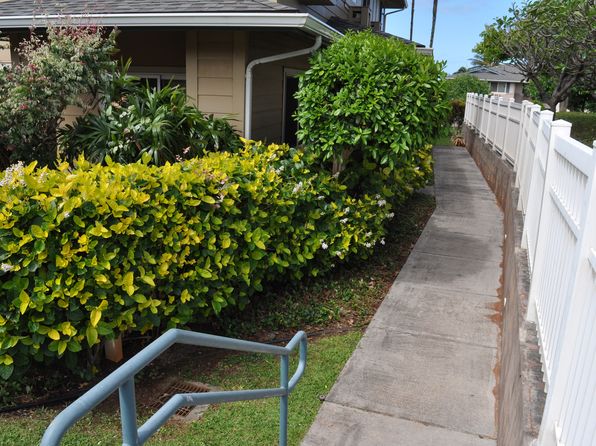 43 Polohina Ln APT 5