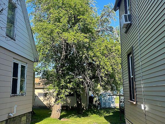 2 mature Apple trees