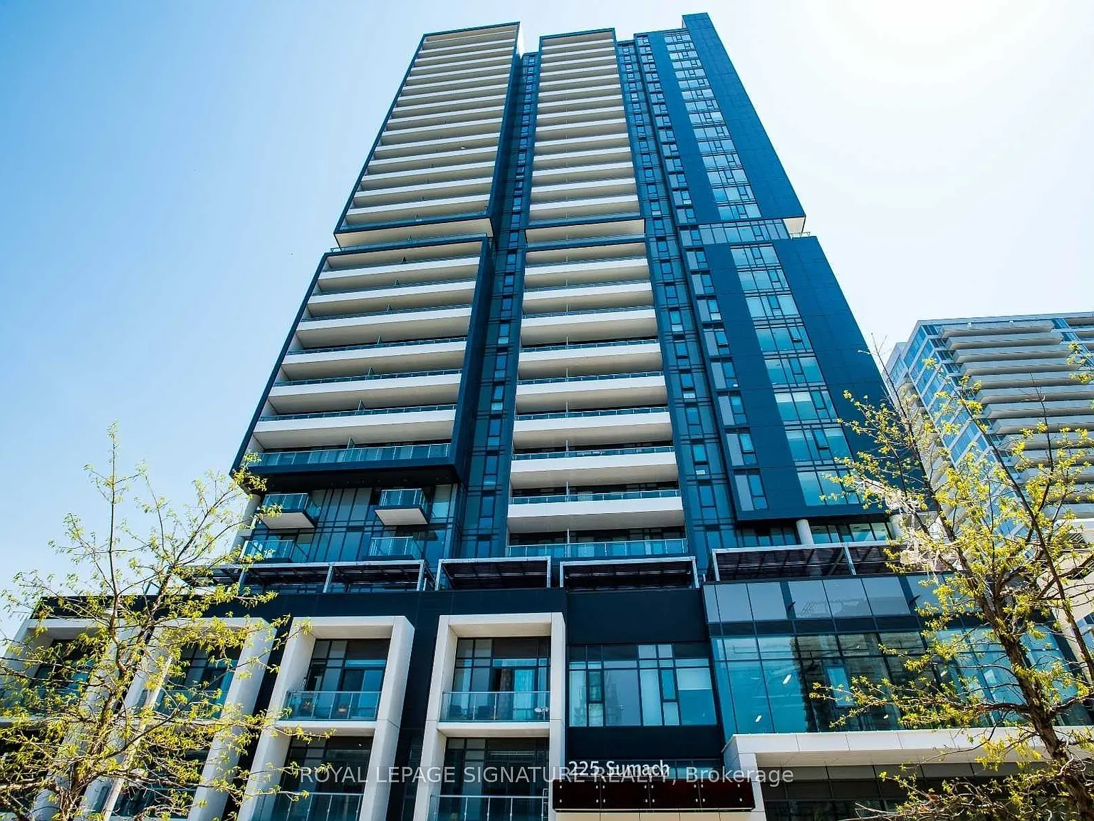 3 bed, $3,700 — Photo 2