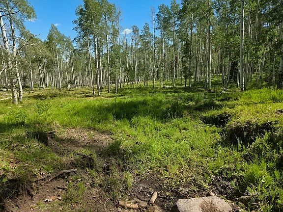 2nd image of 40 Summit Mountain Rd